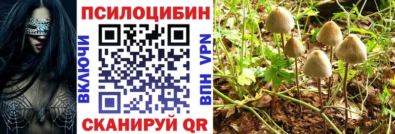 Купить закладки  Козловка  Псилоцибиновые грибы Magic Shrooms 